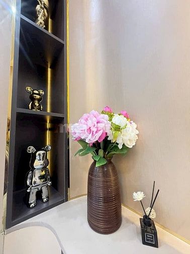 Nhà Đẹp Ngõ Linh Quang, Đống Đa 31m, 5 tầng, mt 4m, giá 9.3 tỷ.