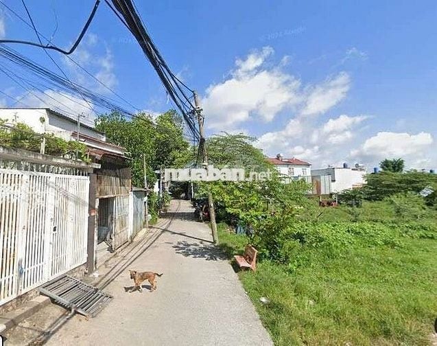 Bán đất gần Chợ LOng SƠn, Cần Đước. 139m2/550tr. Đất thổ, SHR