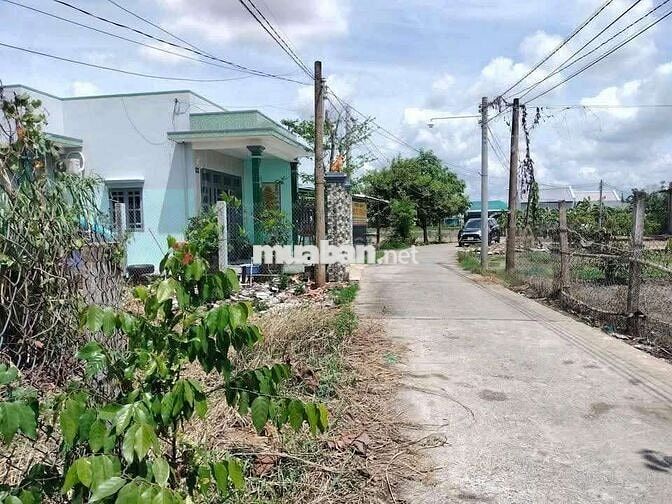 CẦN BÁN ĐẤT – Cần Đước, Long An. 151m²/ 850tr, SHR, Gần Đường DT835
