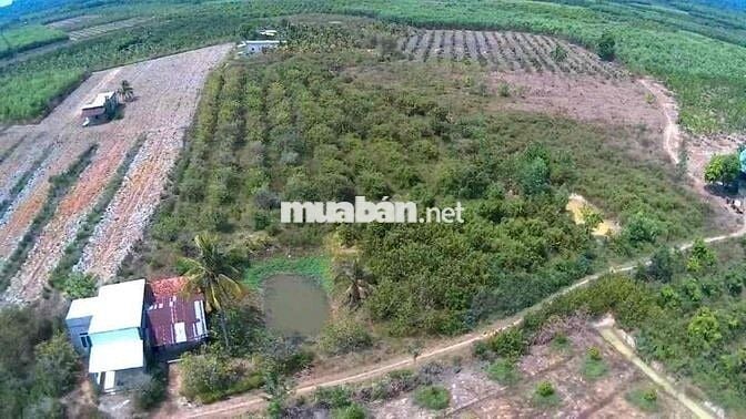 nhà vườn 3 sào 6 (3.684m2), nhà, đất vườn, ao