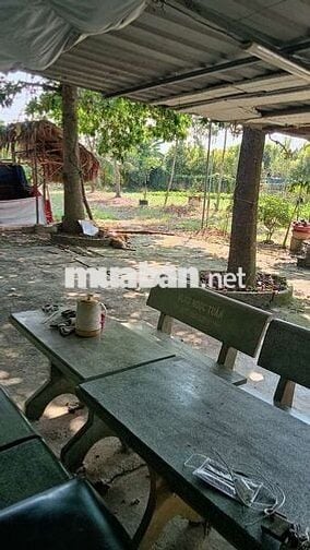 Cảnh cho thuê nhà vườn gần trường chợ đường xe tải vào thoáng mát