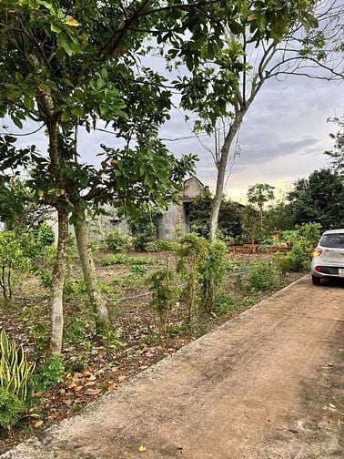 Hoa Hồng 2% Bán Đất Xuân Tây Cẩm Mỹ 2000m2 Giá Chỉ 890 Triệu