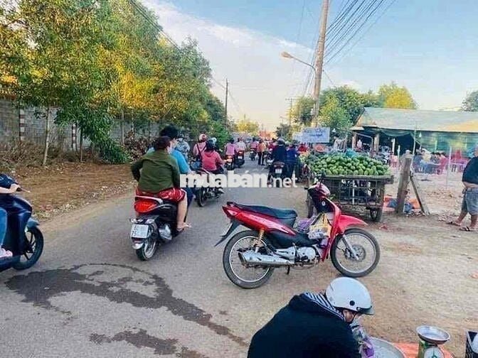 Mặt tiền đường nhựa, gần chợ, gần trường học