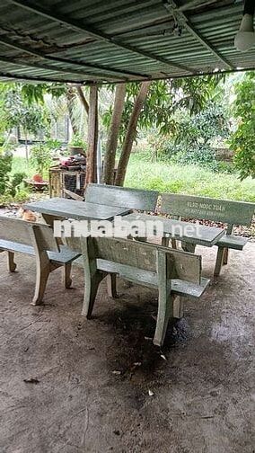 Cảnh cho thuê nhà vườn gần trường chợ đường xe tải vào thoáng mát