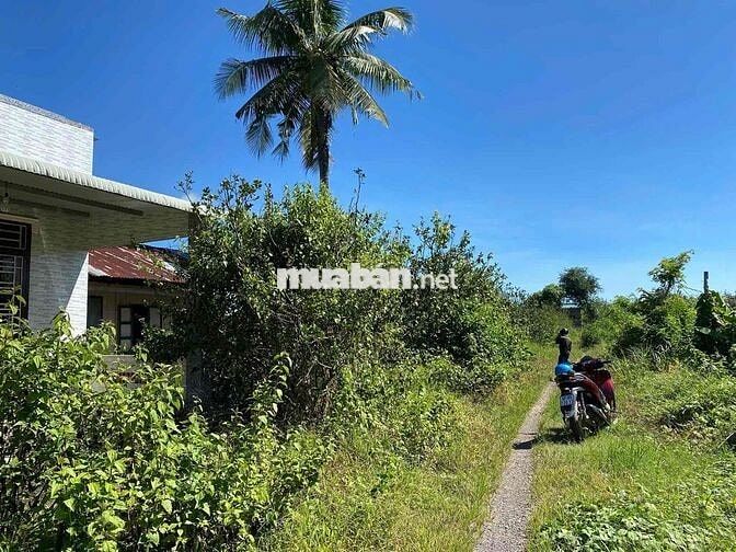 nhà vườn 3 sào 6 (3.684m2), nhà, đất vườn, ao