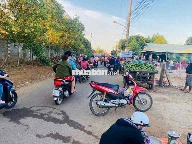 Mặt tiền đường nhựa, gần chợ, gần trường học
