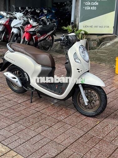 scoopy 2024 chinh chủ