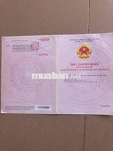 - Đất mặt tiền đường số 46 P. Phường Tam Long, TP. HCM