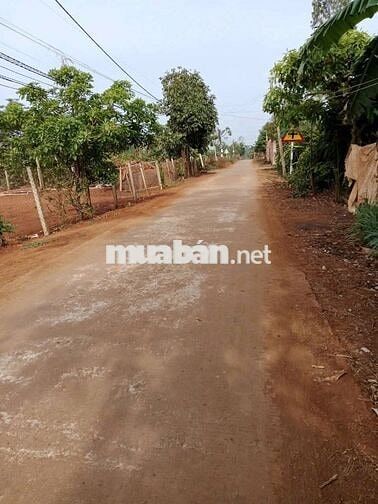 300 triệu/ lô thổ cư 260m2, Giá rẻ,