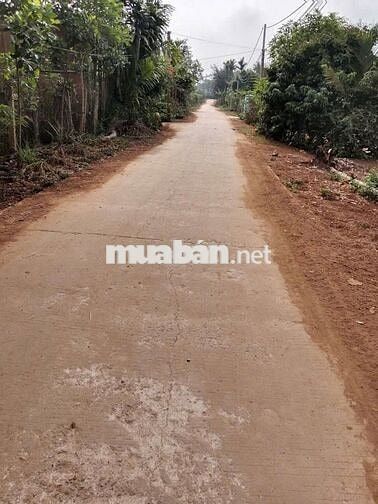 300 triệu/ lô thổ cư 260m2, Giá rẻ,