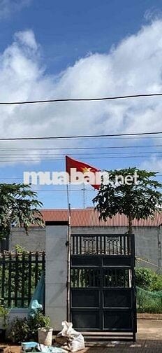 - Đất mặt tiền đường số 46 P. Phường Tam Long, TP. HCM
