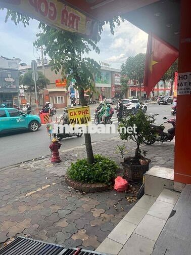 Cho thuê mặt bằng kinh doanh 317 Quang Trung,quận Gò Vấpl