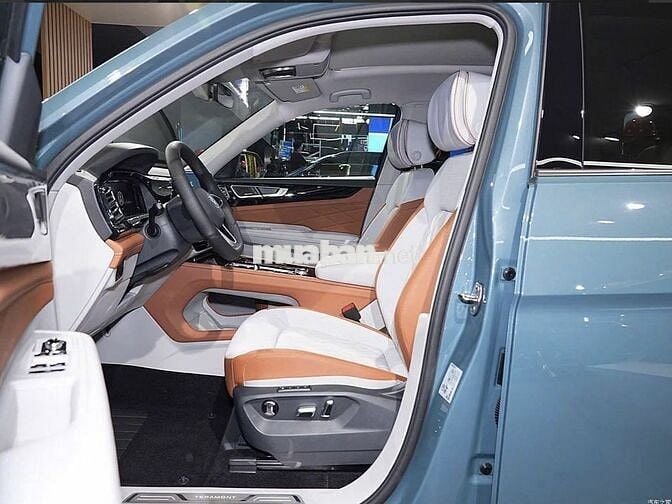 Volkswagen Teramon Presiden 2025
