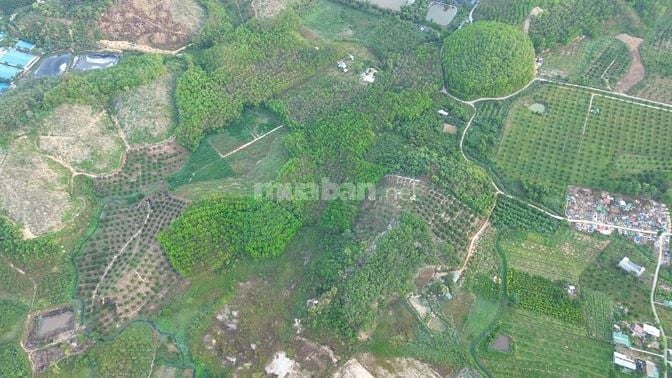 Cần bán gấp 7200m2 có 300 thổ cư. Đã tách 16 sổ.
