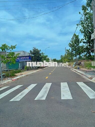 Kẹt tiền bán gấp 133m2 (7x19m) full thổ cư, đang dự kiến xây nhà