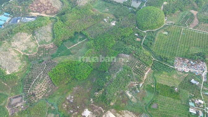 Cần bán gấp 7200m2 có 300 thổ cư. Đã tách 16 sổ.