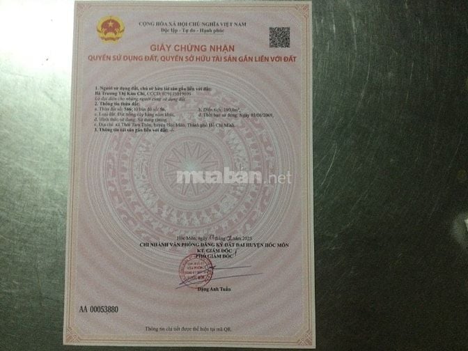Bán gấp nhà và đất thổ cư (dt 203,3 m2) tặng kèm đất trồng cây 190m2