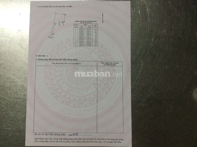 Bán gấp nhà và đất thổ cư (dt 203,3 m2) tặng kèm đất trồng cây 190m2