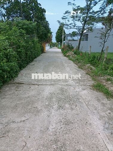 Bán lô đất rẻ tại Phú Sơn Nam - Hòa Khương