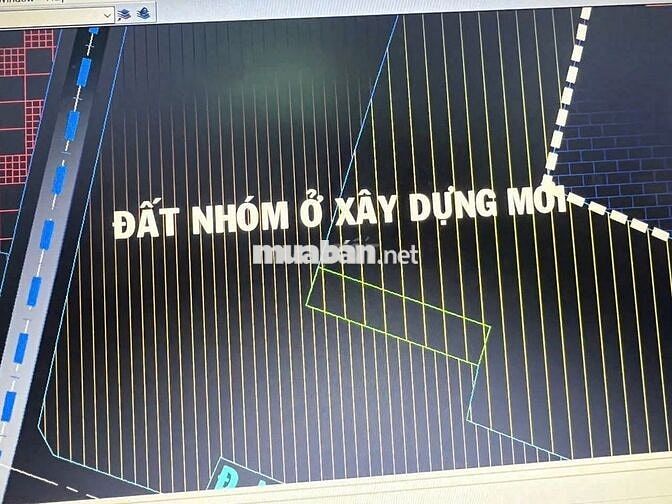 BÁN ĐẤT THỊ TRẤN CỦ CHI ĐƯỜNG NHỰA 10M Sổ Riêng 8x30 Giá 650 Triệu