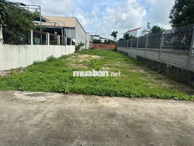 BÁN ĐẤT THỊ TRẤN CỦ CHI ĐƯỜNG NHỰA 10M Sổ Riêng 8x30 Giá 650 Triệu