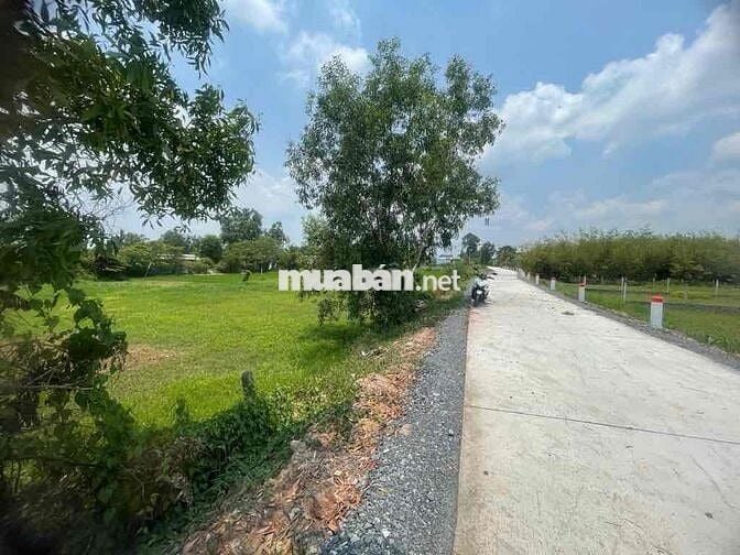 1251M2 - ĐƯỜNG XE TẢI - SÁT ĐƯỜNG BA SA - TL2 - CHỈ 3ĐỒNG