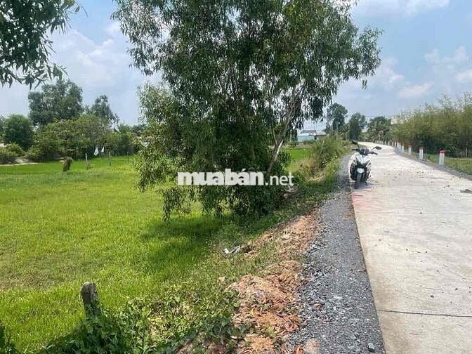 1251M2 - ĐƯỜNG XE TẢI - SÁT ĐƯỜNG BA SA - TL2 - CHỈ 3ĐỒNG