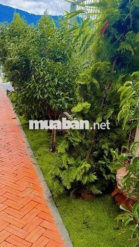 Bán nhà vườn 500m2 phường 7 đà lạt 5,2 tỷ sổ riêng đường ô tô