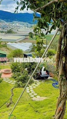 Bán nhà vườn 500m2 phường 7 đà lạt 5,2 tỷ sổ riêng đường ô tô