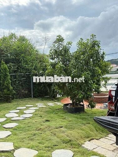 Bán nhà vườn 500m2 phường 7 đà lạt 5,2 tỷ sổ riêng đường ô tô