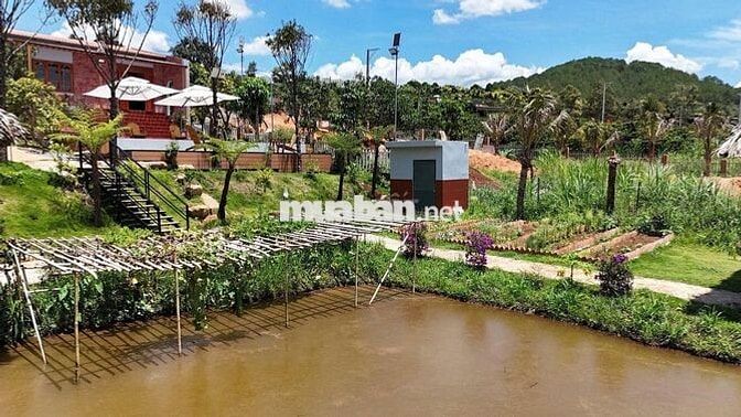bán nhà vườn xã tà nung đà lạt 1151m2 giá 10,5 tỷ có 820m2 đất thổ cư