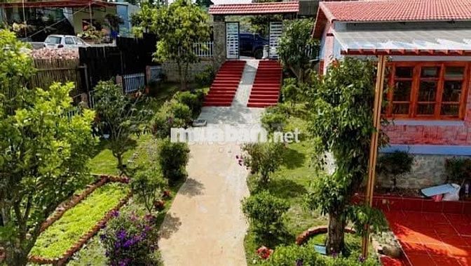 bán nhà vườn xã tà nung đà lạt 1151m2 giá 10,5 tỷ có 820m2 đất thổ cư