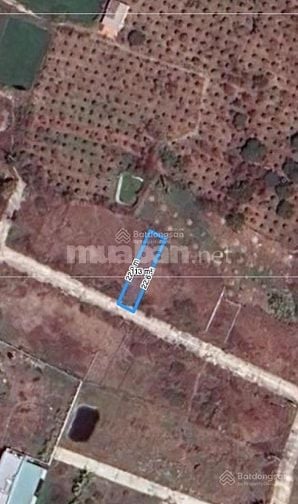 Chính chủ bán 113m2 đất thổ cư đường bê tông rộng 5m tại Phan Thiết - 