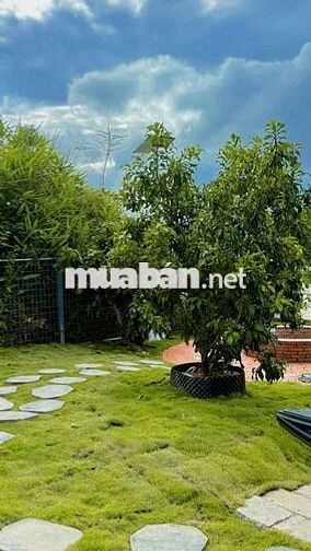 Bán nhà vườn 500m2 phường 7 đà lạt 5,2 tỷ sổ riêng đường ô tô
