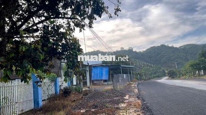 Bán Đất + Nhà mái Thái 
+ DT 54700m2,