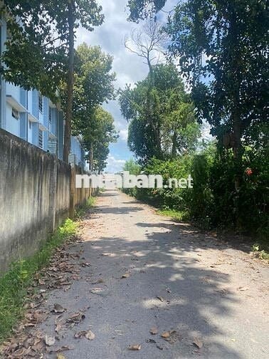 Chính chủ cần bán gấp 3500m2 (3.5sào) ngang 42m giá bể 390tr/sào