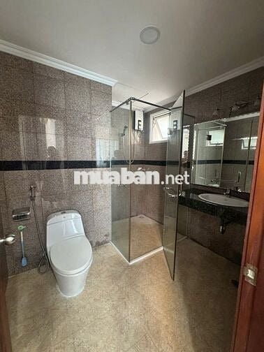 Bán căn hộ Penthouse Giai Việt Hoàng Anh 856 Tạ Quang Bửu, P5, Q8.