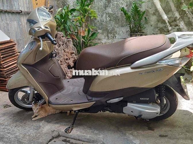 Xe Lead 125 đời 2015 (nguyên zin, bảo trì hãng)
