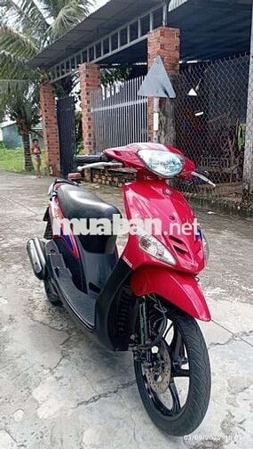 Mio nhỏ bstp