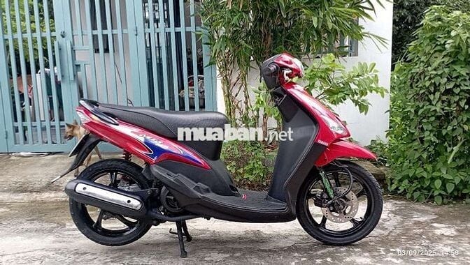 Mio nhỏ bstp
