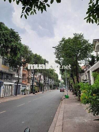 🧊🧊HIẾM HOI NHÀ KẾ CÔNG VIÊN BÌNH PHÚ 1💥4x20m XD 6 Tầng✅