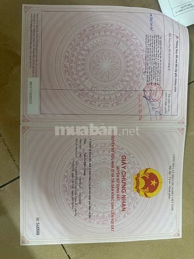 Bán nhà ngõ 269 Lạc Long Quân 3 ô tô tránh nhau 