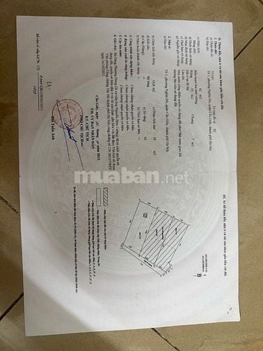 Bán nhà ngõ 269 Lạc Long Quân 3 ô tô tránh nhau 