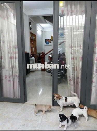 🏡 Nhà 2 tầng kiên cố hẻm Tố Hữu - Phước Hải TT Tp Nha Trang