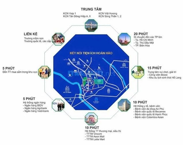 GIỎ HÀNG ĐỘC QUYỀN TỪ CĐT,HỖ TRỢ LÃI 5 NĂM,CHIẾT KHẤU 22% 
