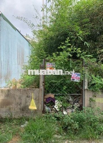 Đất Thổ Cư 82,8m2 Hẻm 1959 Lê Văn Lương, Nhà Bè