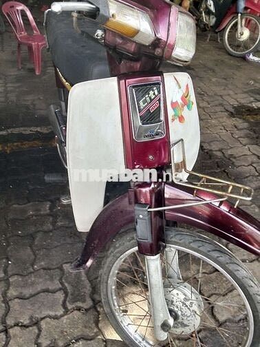 Xe cọp