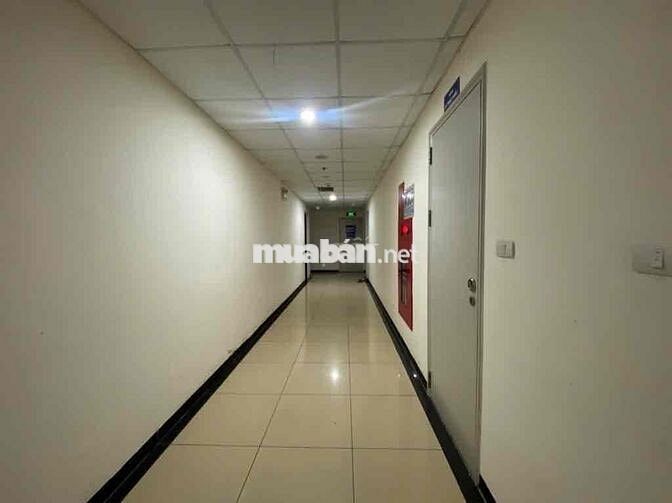 🏡 CHUNG CƯ 56M² – 2 NGỦ 2 VS – GẦN HỒ - TT HOÀNG MAI