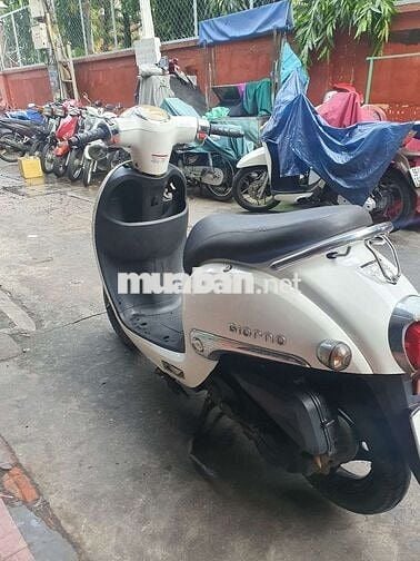 Giorno 50cc đời 2018 nhỏ gọn đề nhẹ chạy êm