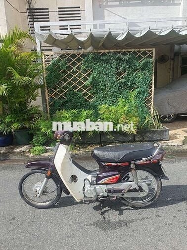 Dream 50cc đời 2019 chạy ko cần bằng lái máy êm